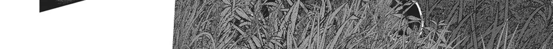 Into the Deepest, Most Unknowable Dungeon Chapter 37 page 14 - 