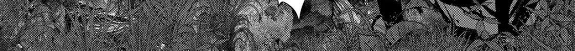 Into the Deepest, Most Unknowable Dungeon Chapter 42 page 64 - 