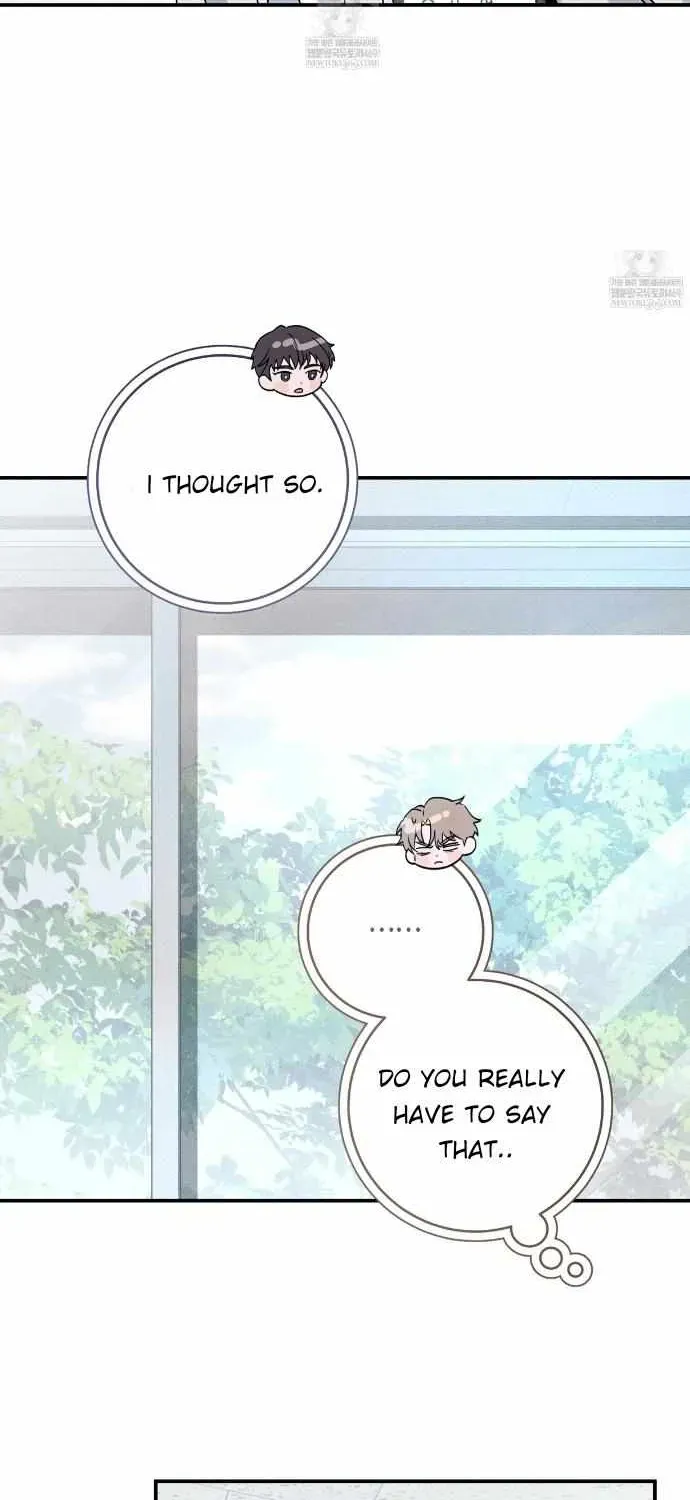 Introducing My Manager Chapter 28 page 12 - 