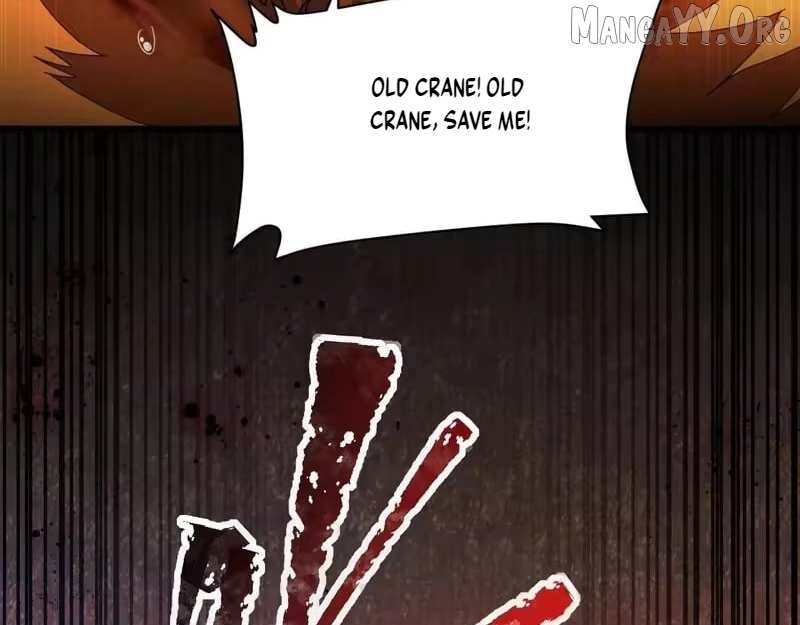 Invincible After Shocking My Empress Wife Chapter 120 page 50 - 