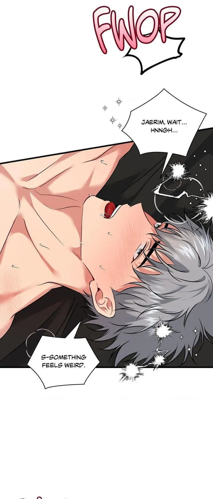 INVISIBLE PARTNER Chapter 26 page 17 - 