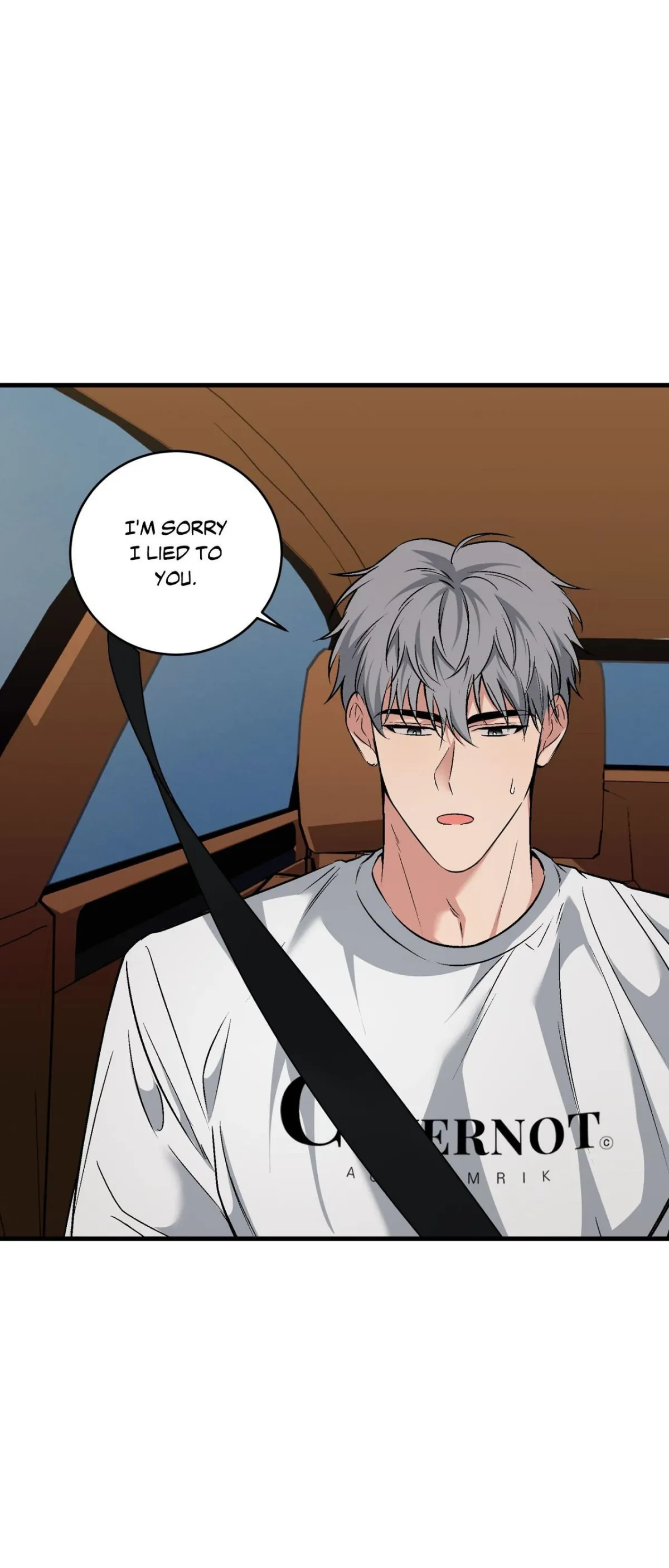 INVISIBLE PARTNER Chapter 31 page 31 - 