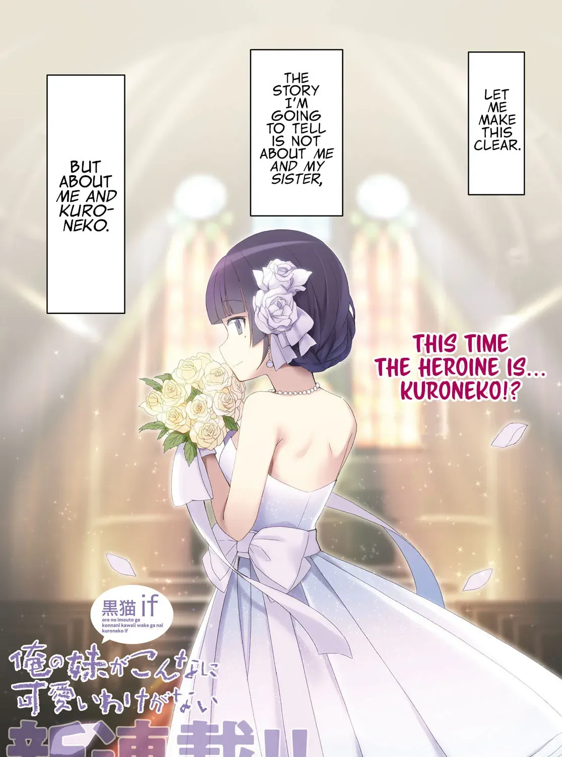 IS dj - Sensei no Otouto ga Konna ni Kawaii Wakeganai Chapter 1 page 1 - 