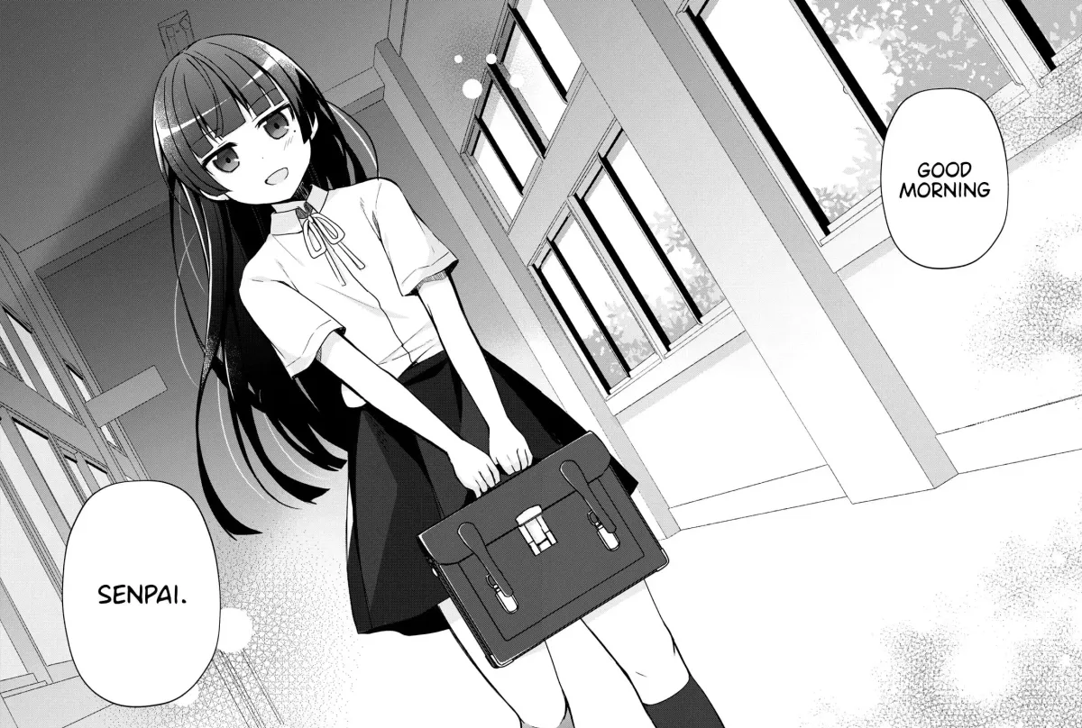 IS dj - Sensei no Otouto ga Konna ni Kawaii Wakeganai Chapter 1 page 11 - 