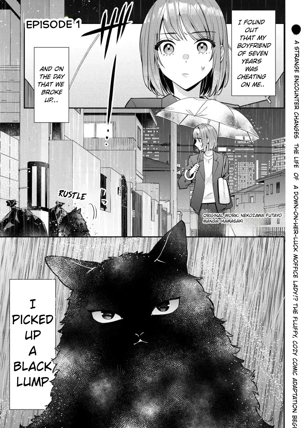 Is the Cat I Picked Up Really a Cat? Chapter 1 page 1 - 