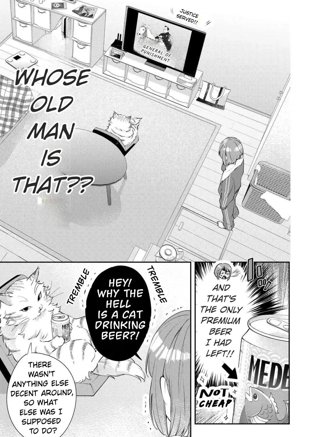 Is the Cat I Picked Up Really a Cat? Chapter 1 page 13 - 