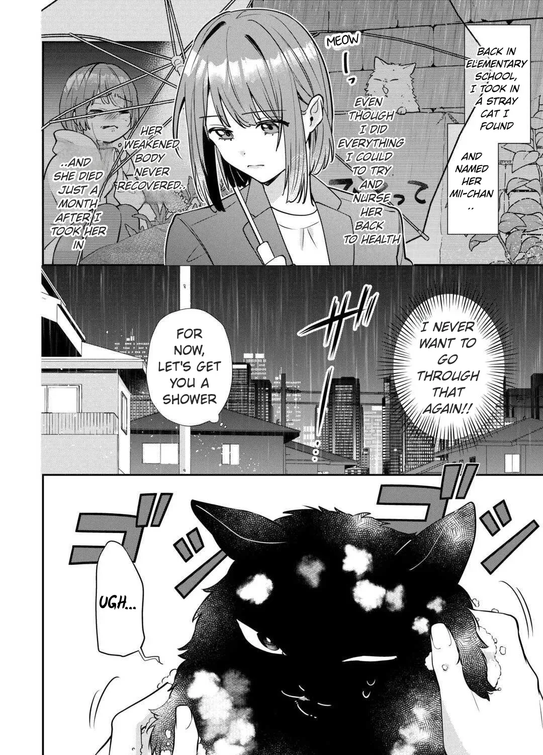Is the Cat I Picked Up Really a Cat? Chapter 1 page 3 - 