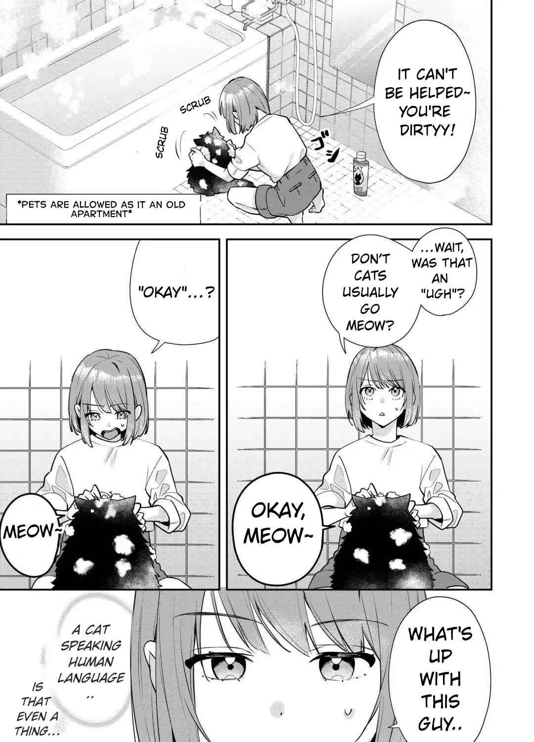 Is the Cat I Picked Up Really a Cat? Chapter 1 page 5 - 