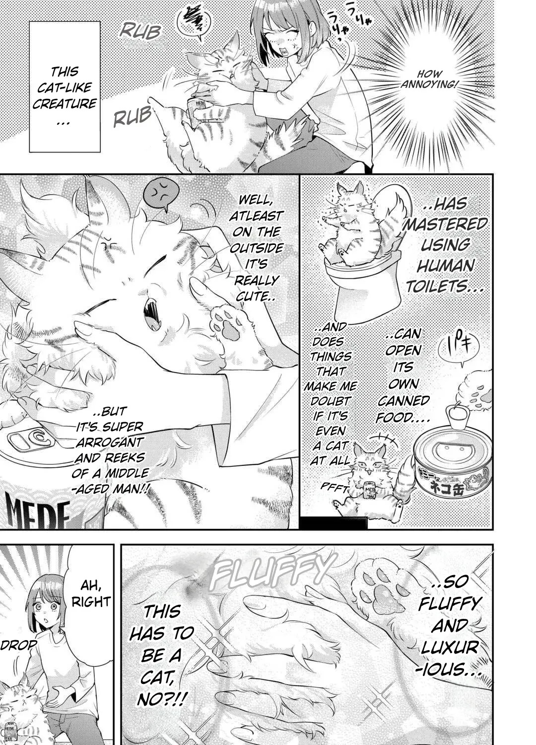 Is the Cat I Picked Up Really a Cat? Chapter 1 page 53 - 