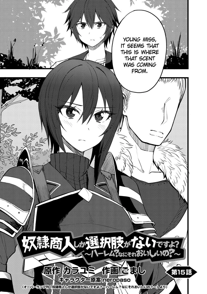 Is the Only Option a Slave Merchant?: Harem? What is that, is It Tasty Chapter 15 page 1 - 