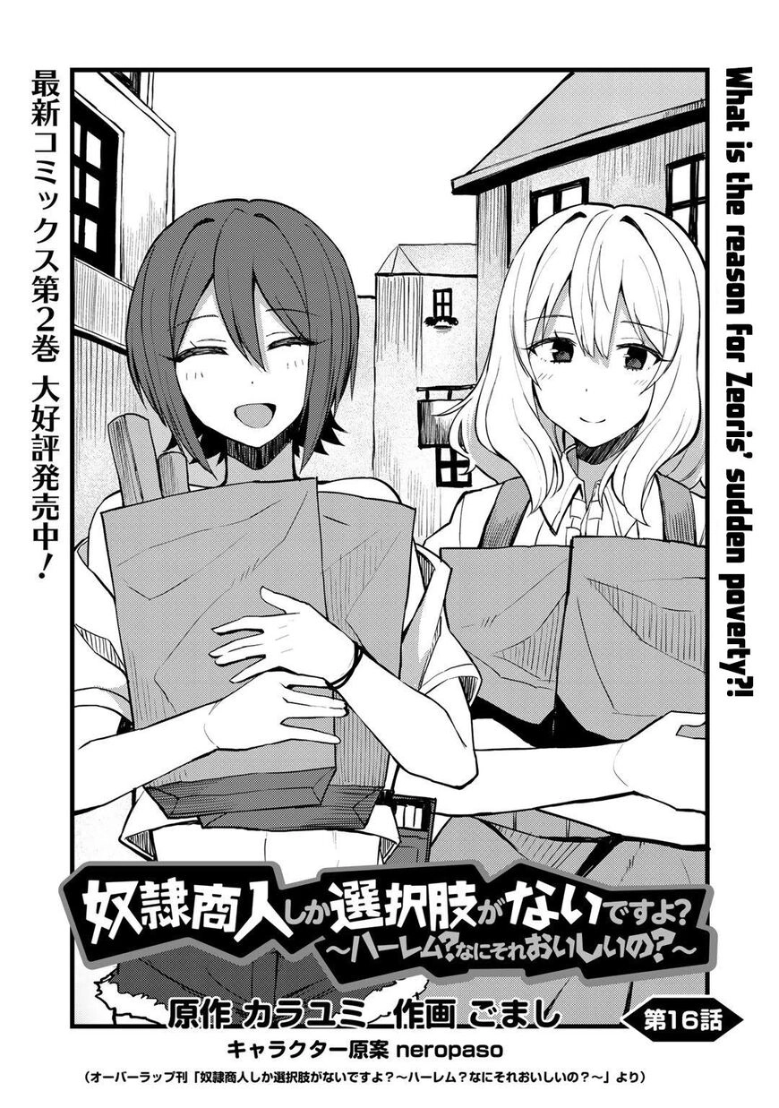 Is the Only Option a Slave Merchant?: Harem? What is that, is It Tasty Chapter 16 page 3 - 