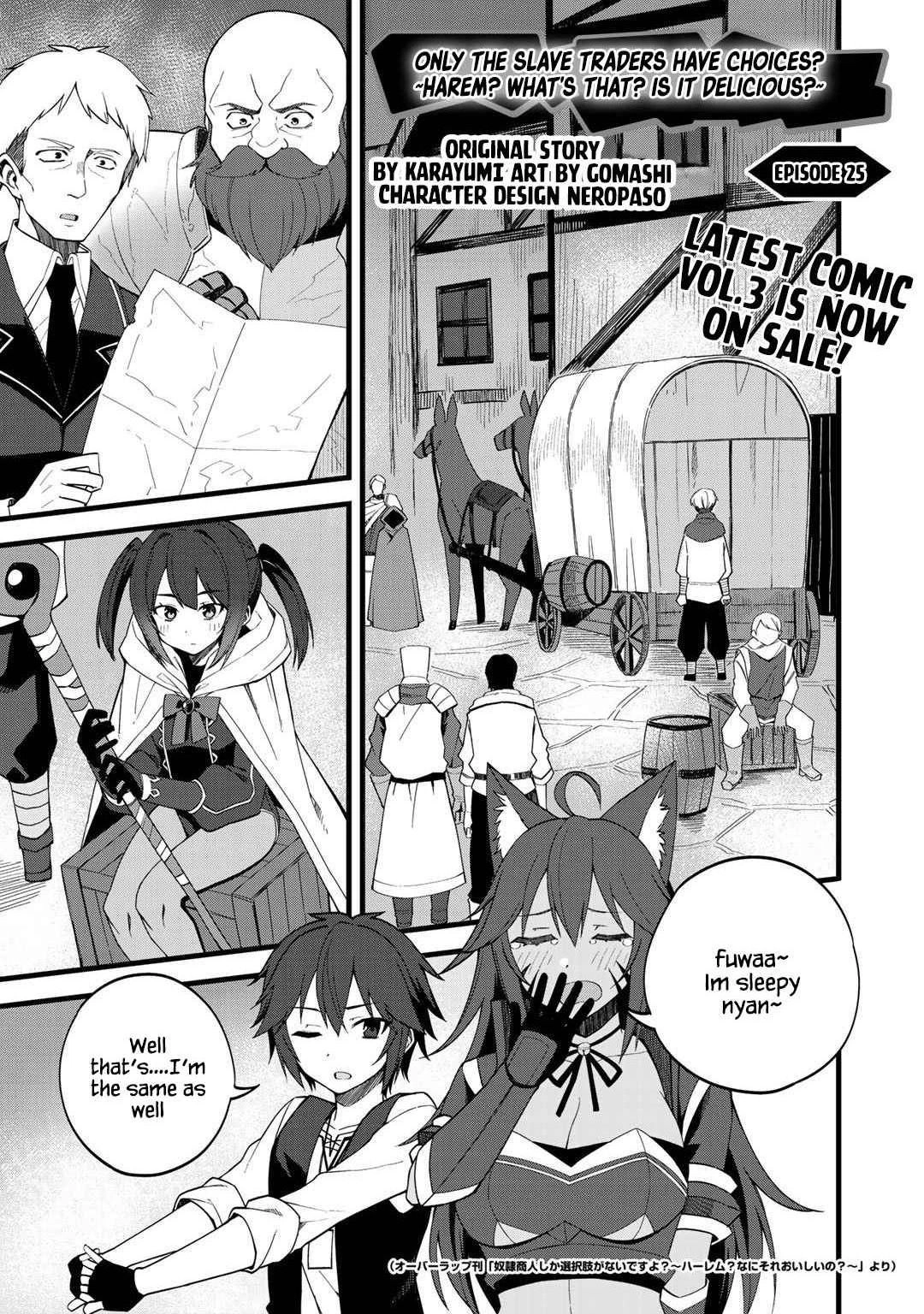 Is the Only Option a Slave Merchant?: Harem? What is that, is It Tasty Chapter 25 page 1 - 