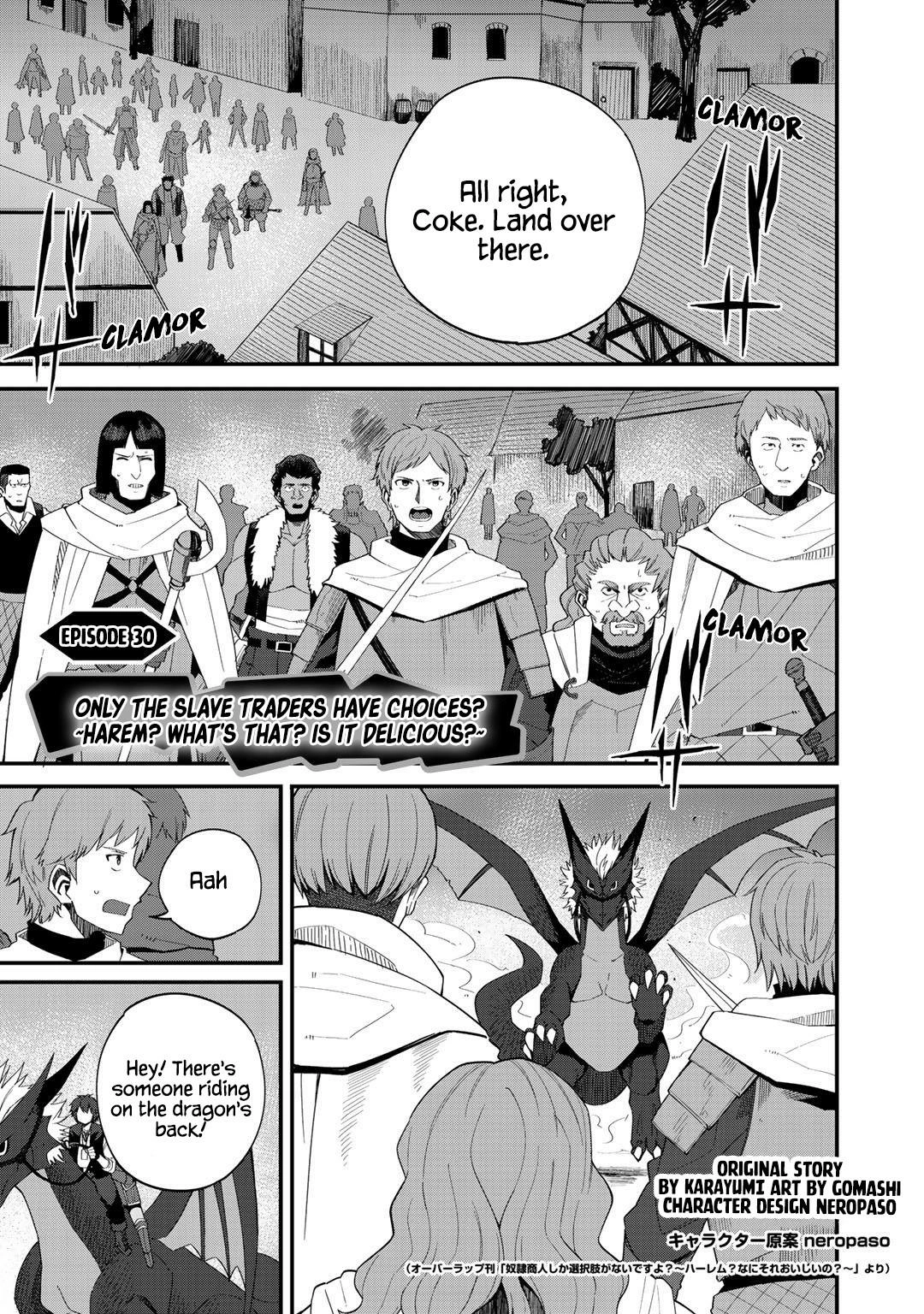 Is the Only Option a Slave Merchant?: Harem? What is that, is It Tasty Chapter 30 page 1 - 