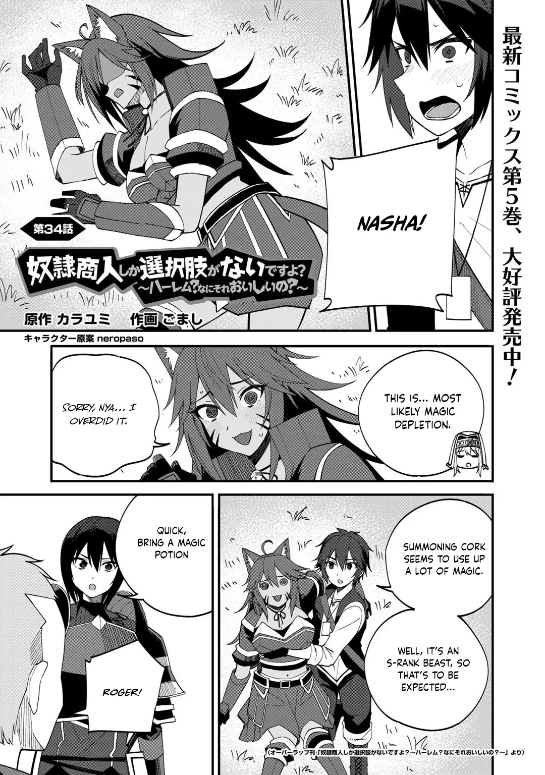 Is the Only Option a Slave Merchant?: Harem? What is that, is It Tasty Chapter 34 page 2 - 