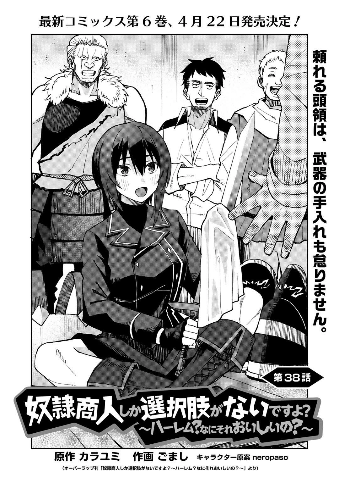 Is the Only Option a Slave Merchant?: Harem? What is that, is It Tasty Chapter 38 page 3 - 