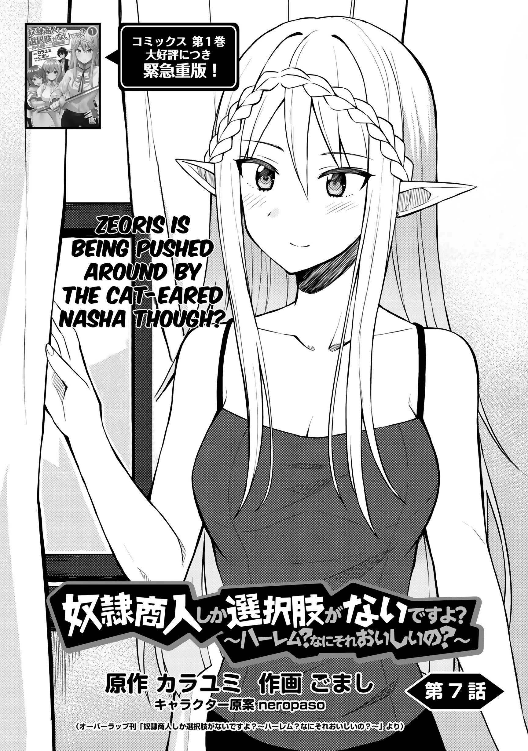 Is the Only Option a Slave Merchant?: Harem? What is that, is It Tasty Chapter 7 page 3 - 
