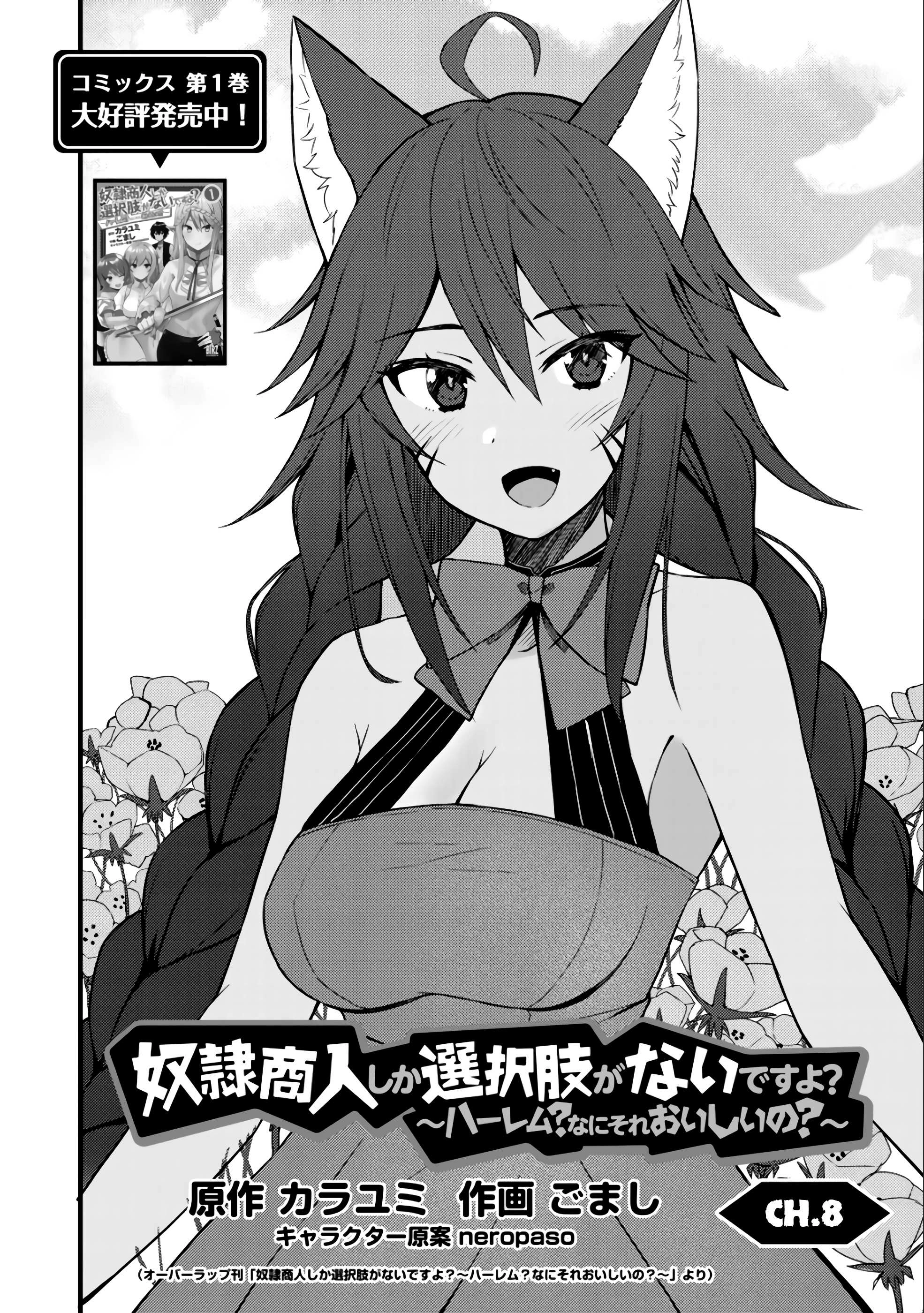 Is the Only Option a Slave Merchant?: Harem? What is that, is It Tasty Chapter 9 page 3 - 