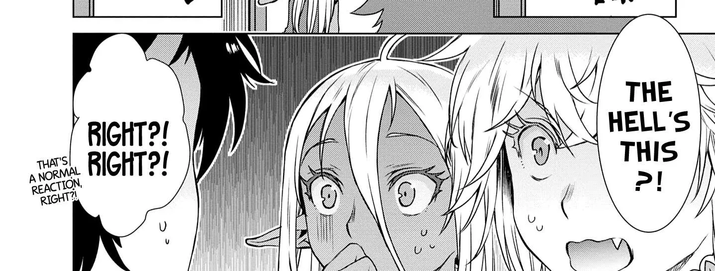 Isekai De Skill Wo Kaitai Shitara Cheat Na Yome Ga Zoushoku Shimashita: Gainen Kousa No Structure Chapter 39 page 29 - 