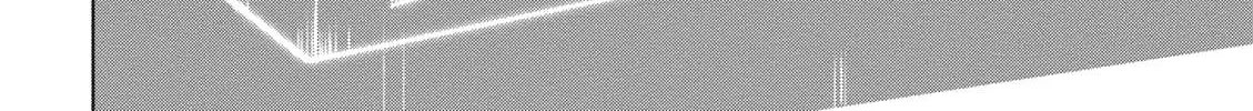 Isekai De Skill Wo Kaitai Shitara Cheat Na Yome Ga Zoushoku Shimashita: Gainen Kousa No Structure Chapter 8 page 49 - 