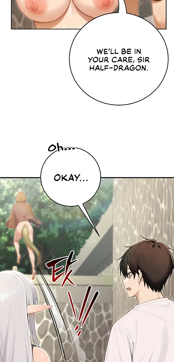 Isekai Dragondick Knight Commander Chapter 89 page 67 - 