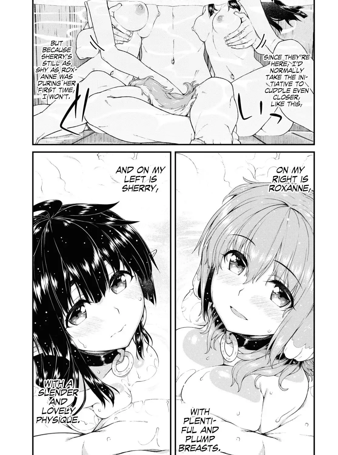 Isekai Meikyuu de Harem o Chapter 43.5 page 15 - 