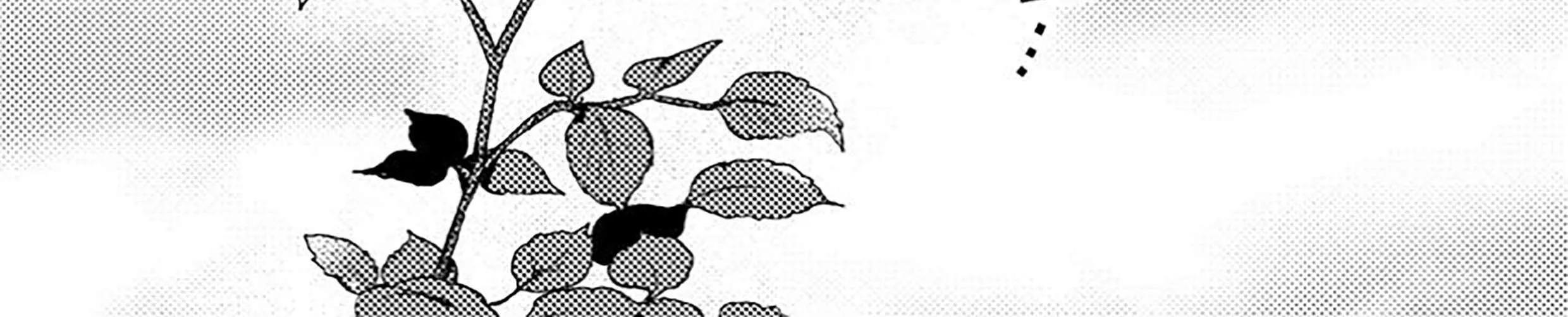 Isekai Merchant: Living a Rich Slow Life with Chapter 11.2 page 11 - 