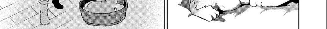 Isekai ni Teni Shitara Yama no Naka datta. Handou de Tsuyo Sayori mo Kaitekisa o Erabi Mashita Chapter 5 page 46 - 
