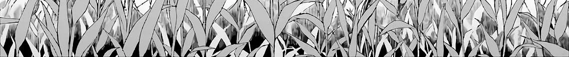 Isekai Picnic Chapter 19 page 29 - 