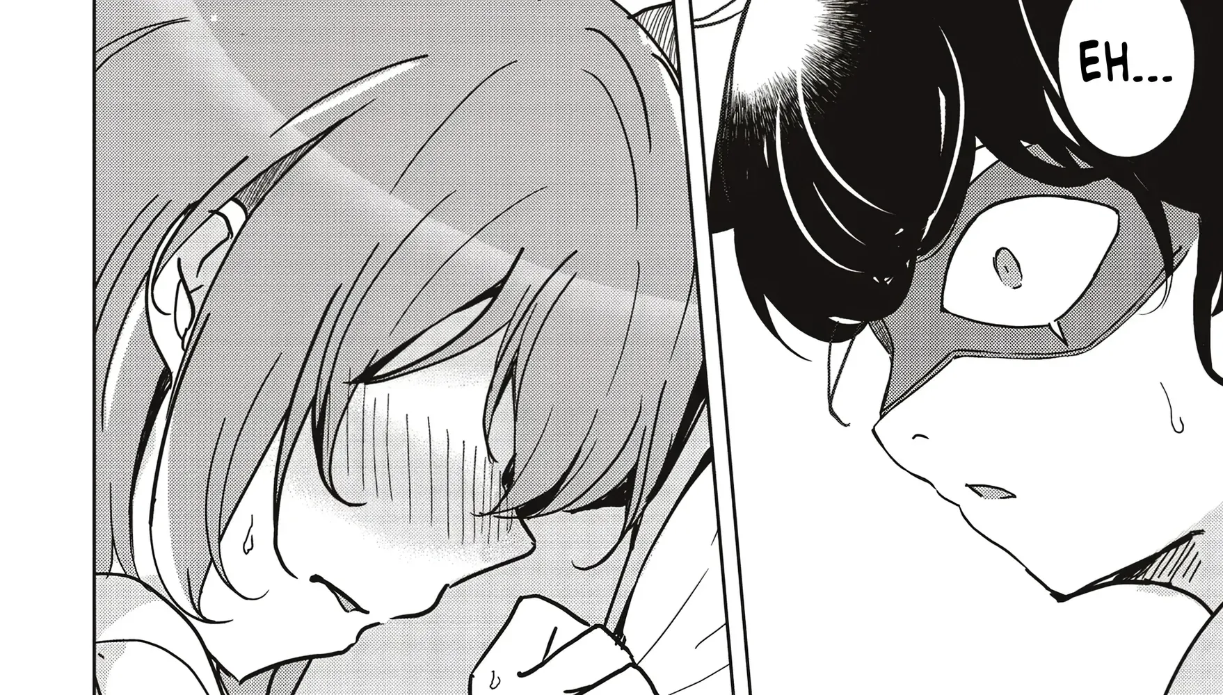 Isekai Saikouhou no Guild Leader ~Guild Saijaku no Boku da Kedo, Guild Members Zen