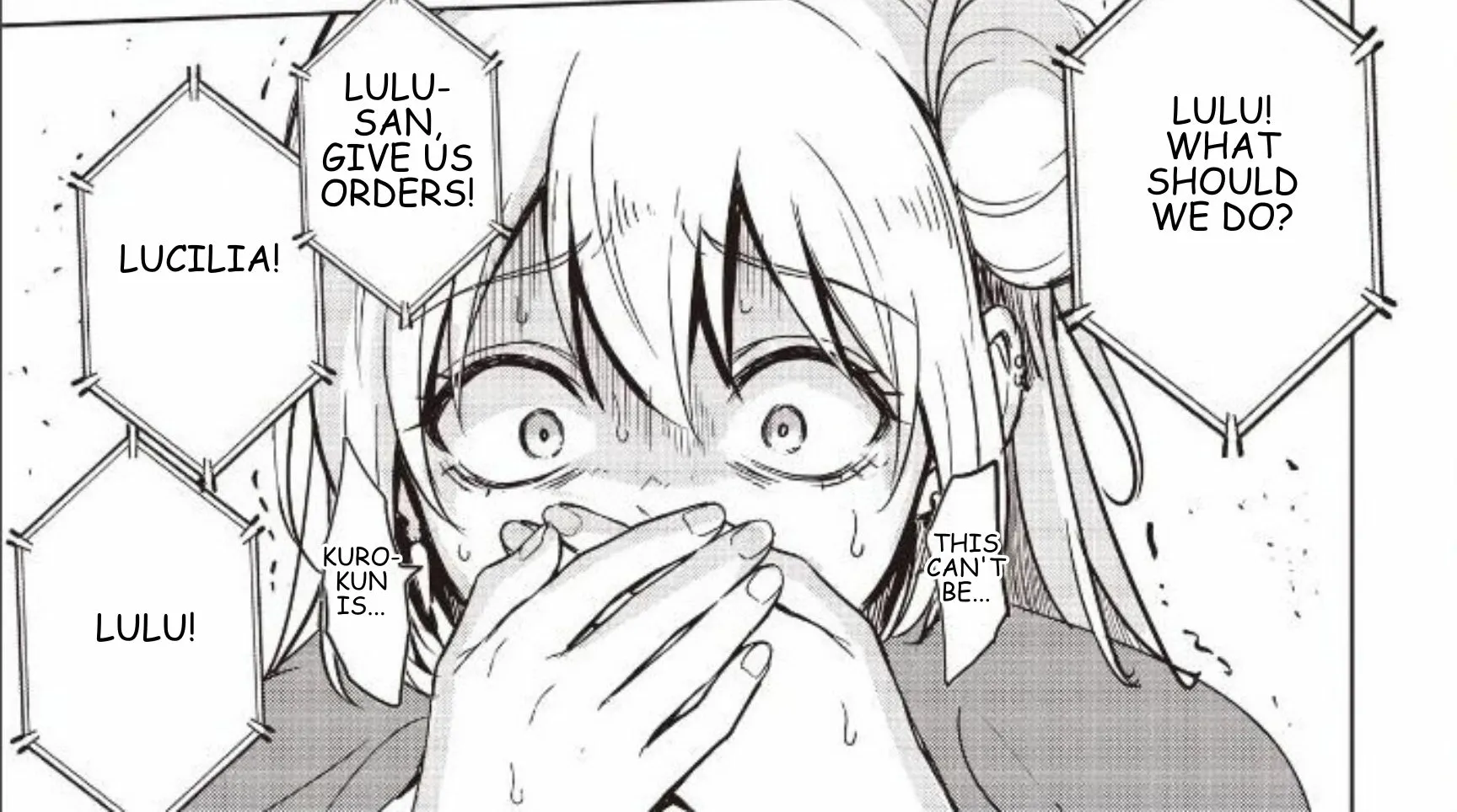 Isekai Saikouhou no Guild Leader ~Guild Saijaku no Boku da Kedo, Guild Members Zen