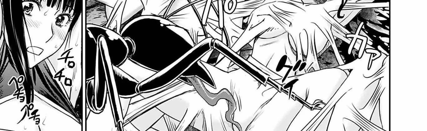 Isekai Sniper Is the Female Warrior