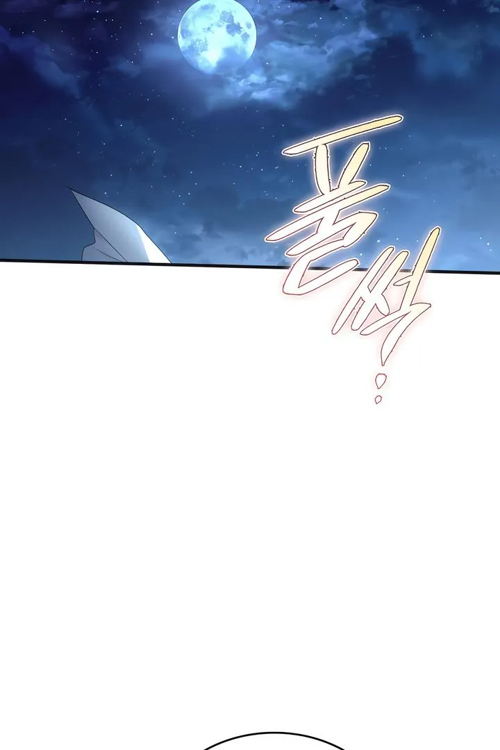 Island Without Shadows Chapter 1 page 214 - 