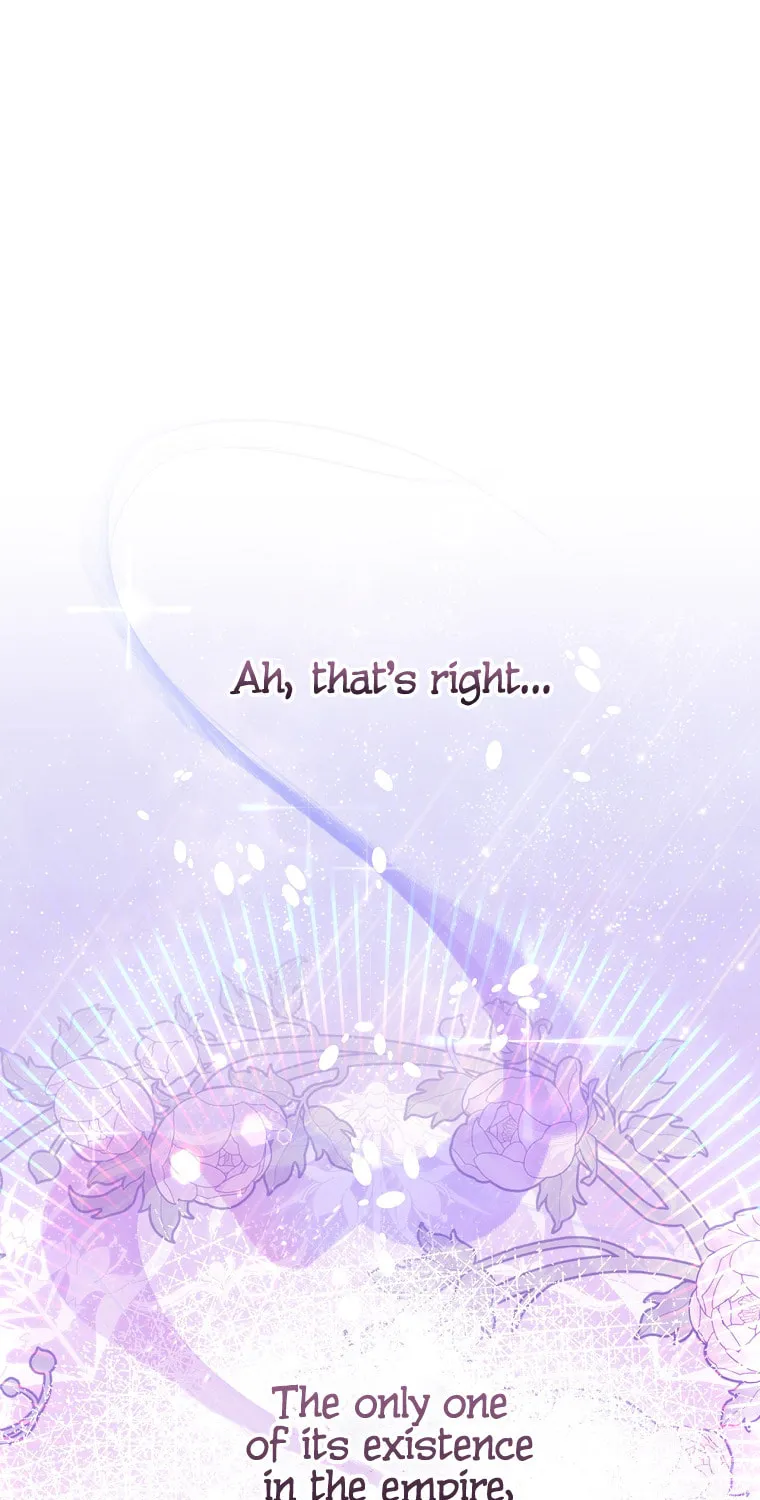 Isn