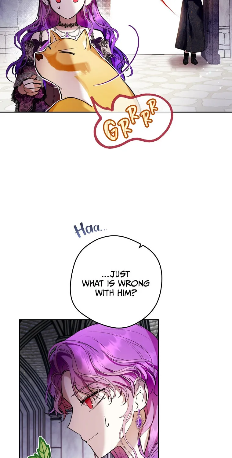 Isn