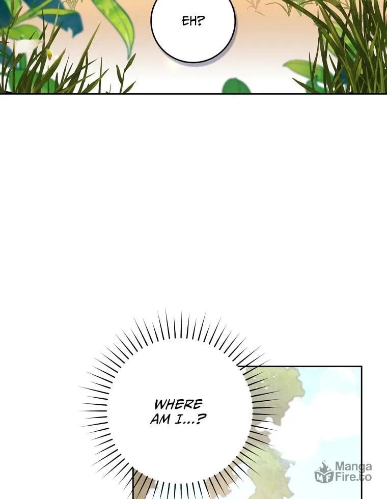 Isn