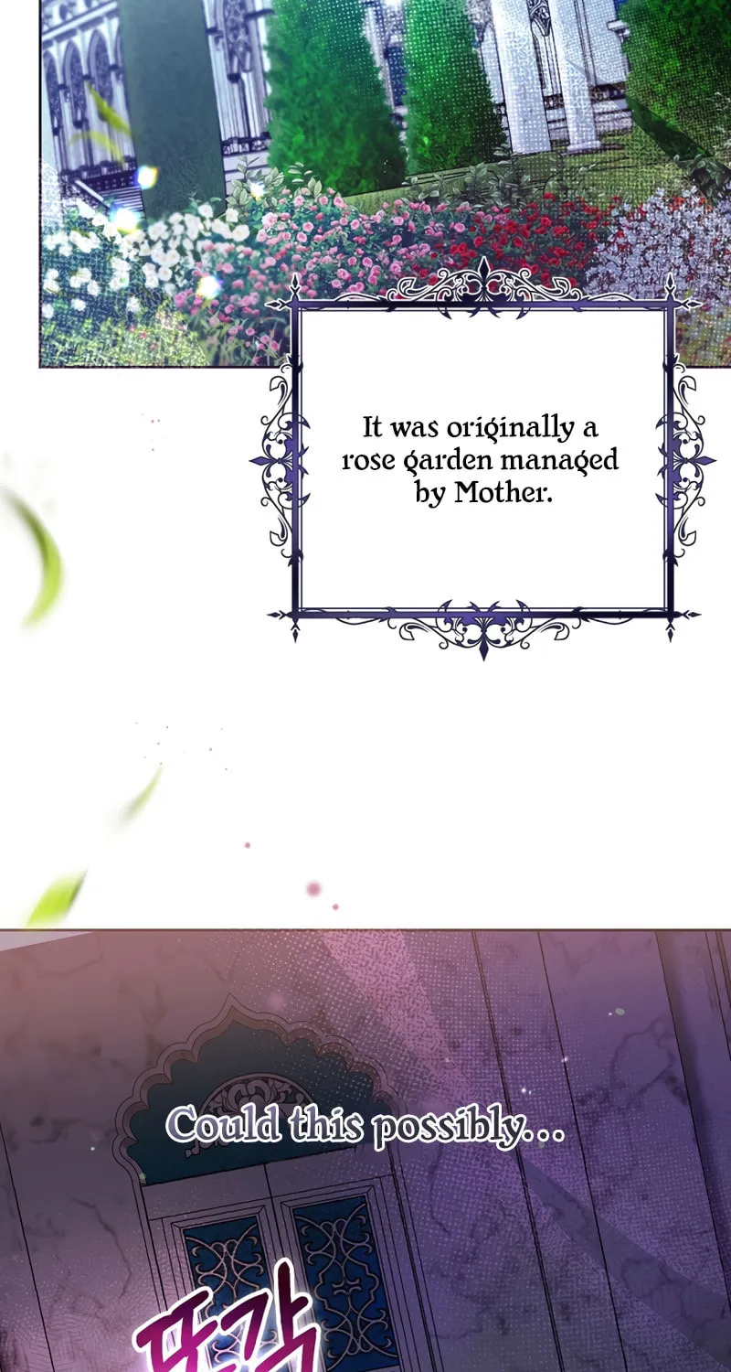 Isn