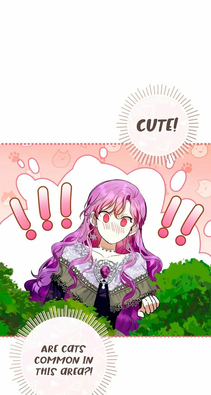 Isn