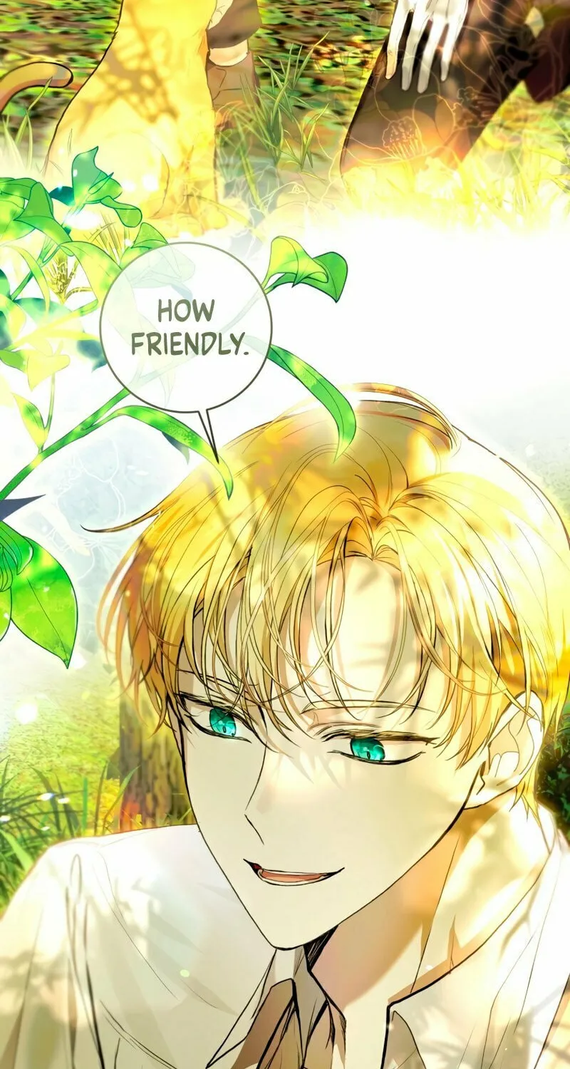 Isn