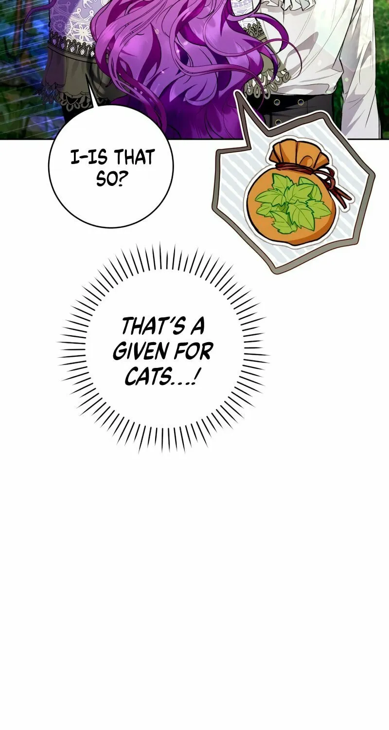 Isn