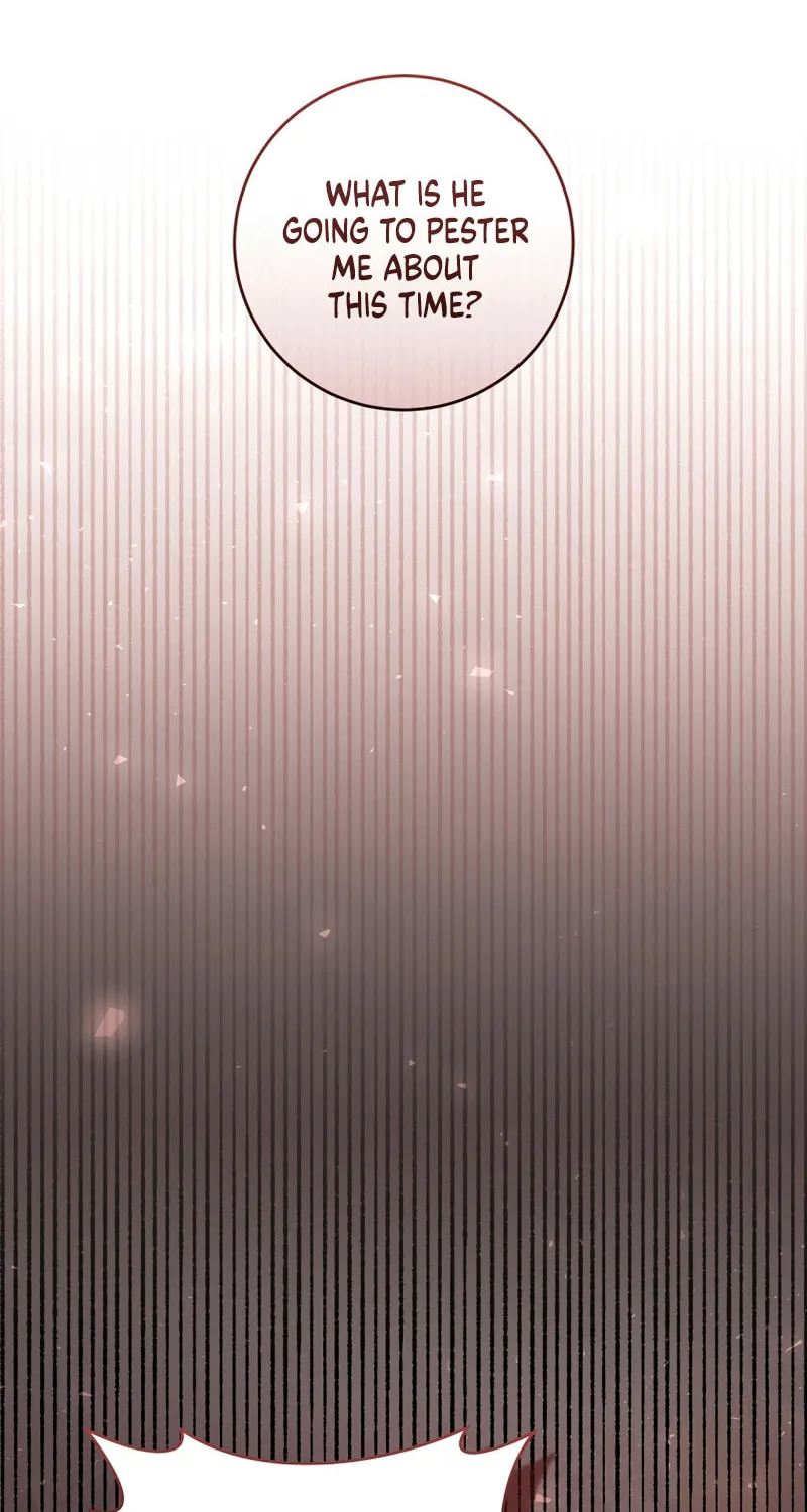Isn