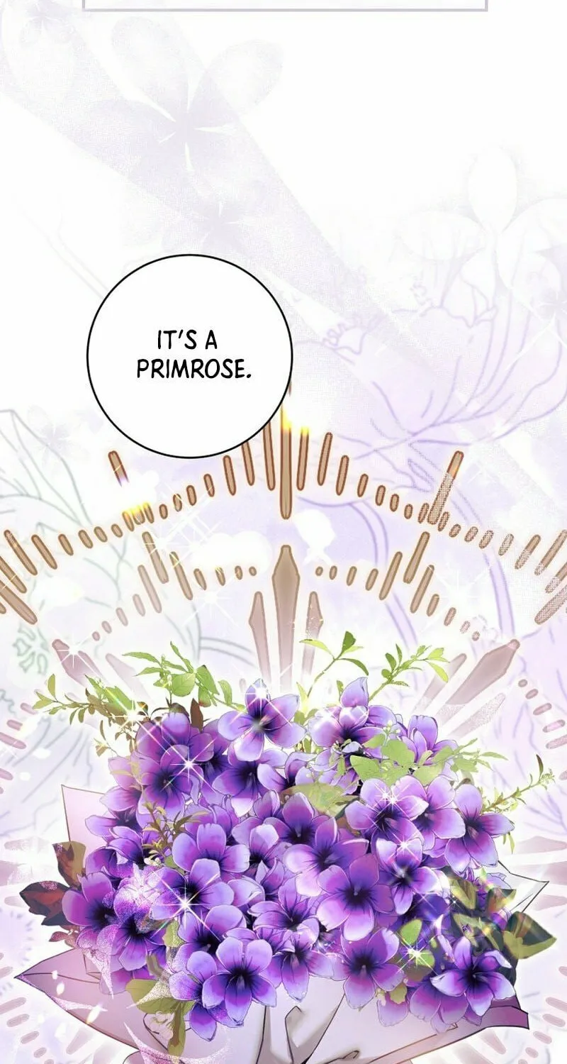 Isn