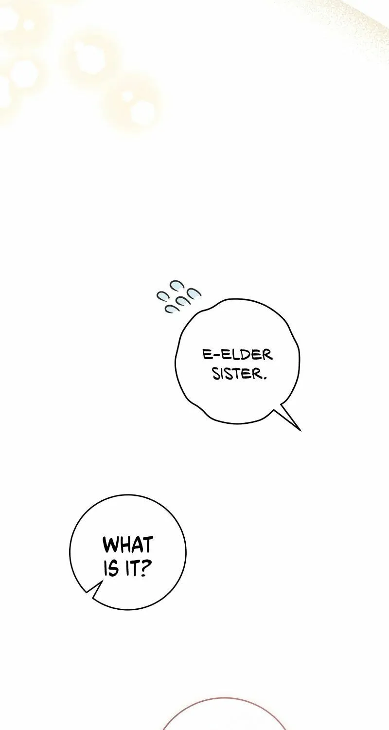 Isn