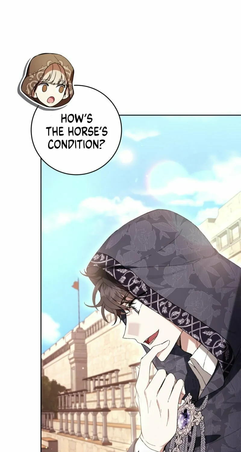 Isn