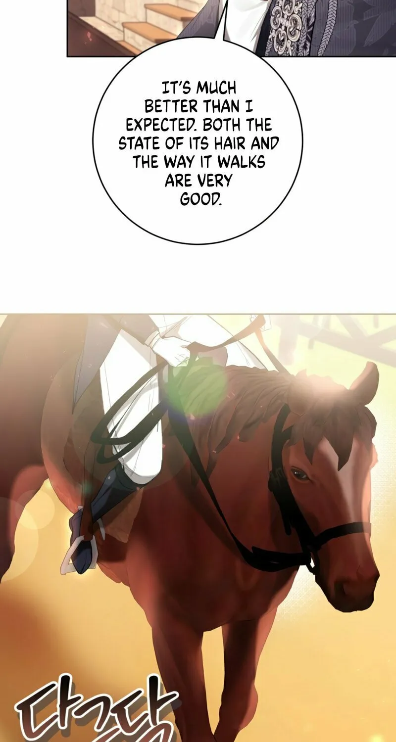 Isn