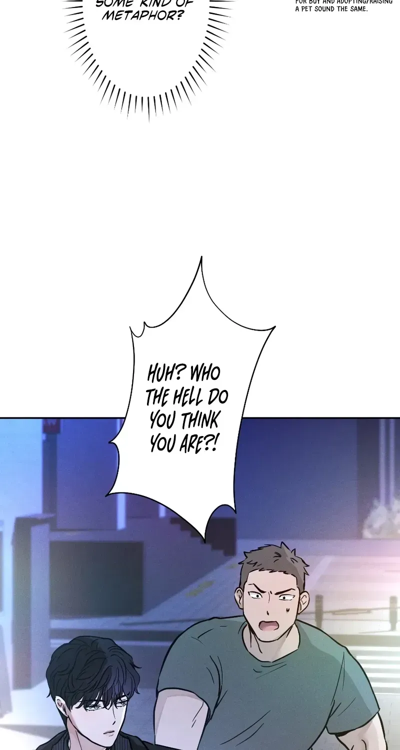 Isn