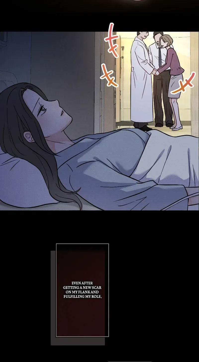 Isn