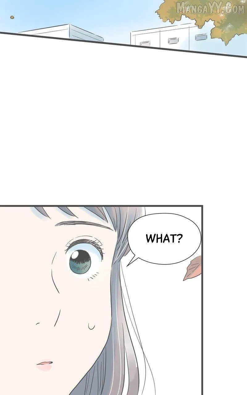 It Rains on Precious Days Chapter 182 page 29 - 