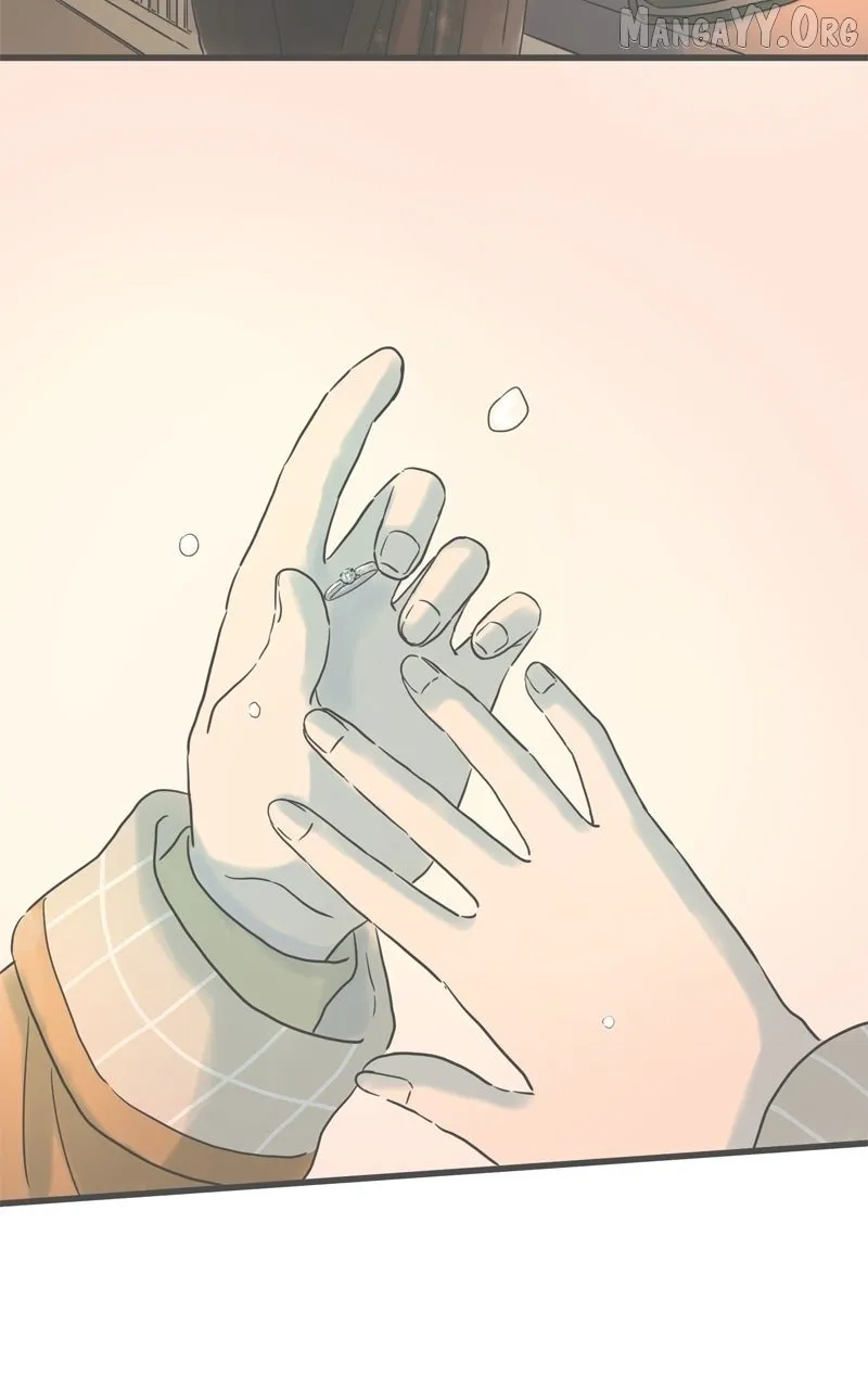 It Rains on Precious Days Chapter 183 page 84 - 