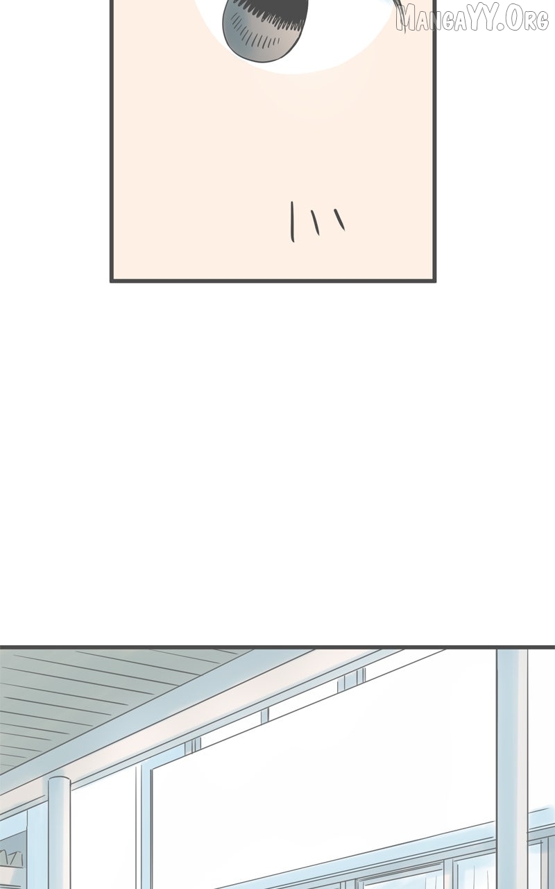 It Rains on Precious Days Chapter 188 page 59 - 