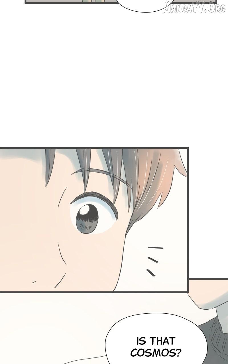 It Rains on Precious Days Chapter 190 page 68 - 